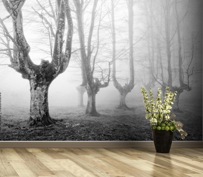 Fototapeta Przerażający las ze strasznymi drzewami