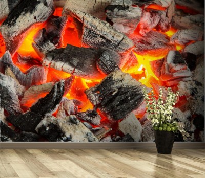 Fototapeta Węgiel drzewny