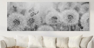 Obraz na płótnie Marzycielskie dmuchawce