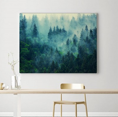 Obrazy do salonu Las osnuty gęstą mgłą w górskim krajobrazie