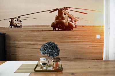 Fototapeta Chinook