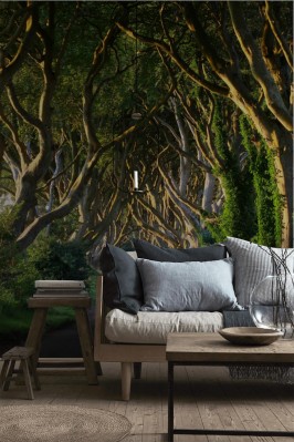 Fototapeta Droga przez korony drzew