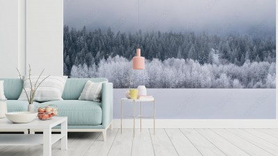 Fototapeta Granica lasu w świeżym śniegu