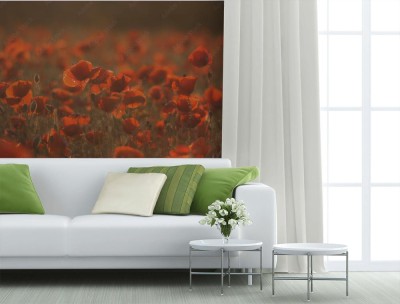 Fototapeta Makowa Łąka