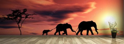 Fototapeta Rodzina słoni