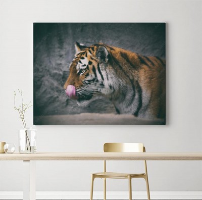 Obraz na płótnie Język tygrysa