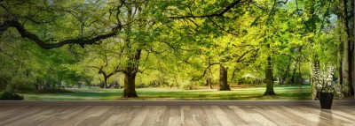 Fototapeta Park na wiosnę
