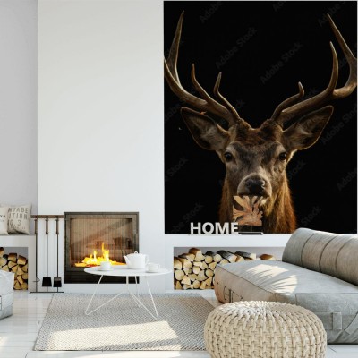 Fototapeta Portret Jelenia na czarnym tle