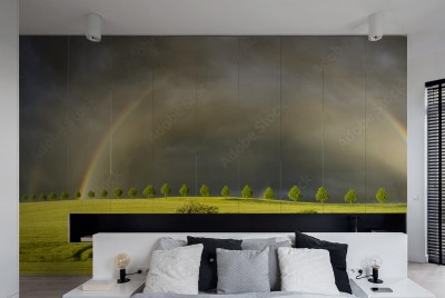 Naklejka na szafę Tęcza nad polem młodej kukurydzy