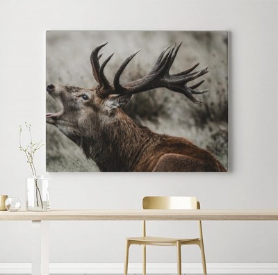 Obraz na płótnie Jeleń obustronnie koronny