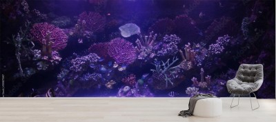 Fototapeta Akwarium
