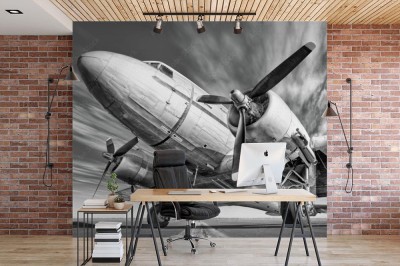 Fototapeta Historyczny samolot na pasie startowym