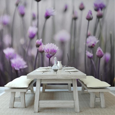 Fototapeta Kwitnący szczypiorek