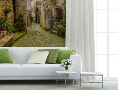 Fototapeta Wąska ulica średniowiecznego miasta z zielonymi roślinami i brukiem