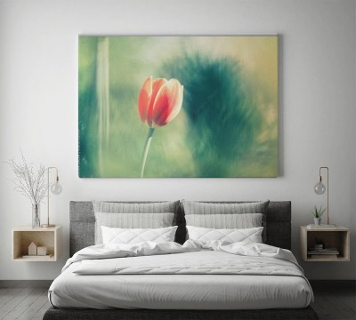 rozowy-tulipan-na-pieknym-rozmytym-tle