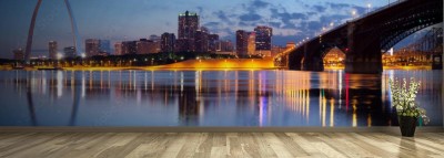 Fototapeta Panoramę miasta St  Louis z mostem w tle