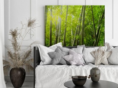 bambusowy-las-z-promieniem-swiatla