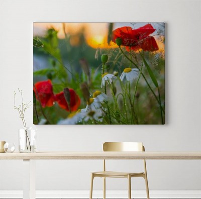 Obraz na płótnie Maki i rumianek