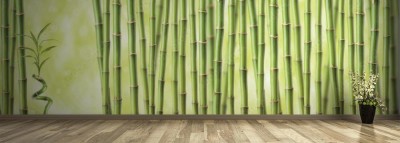 Fototapeta Bambusowa