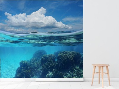 Fototapeta Morze nad i pod powierzchnią