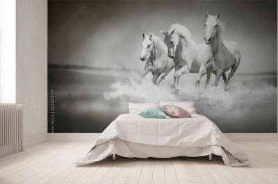 Fototapeta Stado białych koni biegnących przez wodę