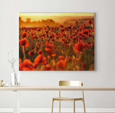 Obraz na płótnie Czerwone pole maków o zachodzie słońca