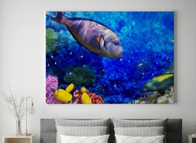 Obraz na płótnie Ryby w Morzu Czerwonym