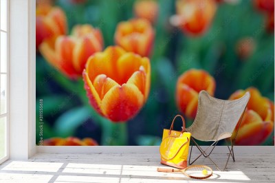 Fototapeta Piękny kwiat w ogrodzie