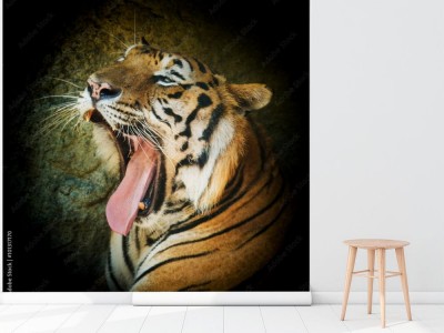 Fototapeta Znudzony tygrys