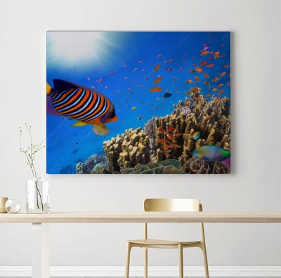 Obraz na płótnie Rafa koralowa i tropikalna ryba w oceanie