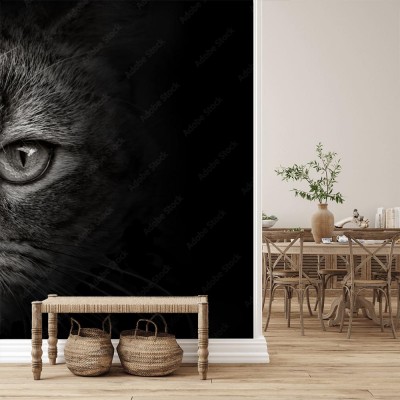 Fototapeta Ciemny pyszczek kota