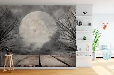 Fototapeta Las z pełnią księżyca