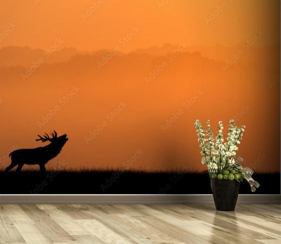 Fototapeta Sylwetka jelenia w porannej mgle