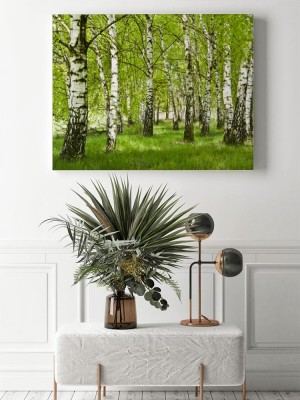 Obraz na płótnie Brzozowy zagajnik wczesną wiosną w pogodny dzień Młode brzozy z młodymi zielonymi liśćmi w świetle słońca