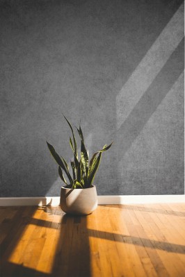 Fototapeta Beton dekoracyjny na ścianę 