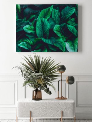 Obrazy do salonu Liście Spathiphyllum cannifolium