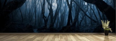 Fototapeta Głęboki las tropikalny w ciemności