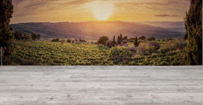 Fototapeta Gospodarstwo winiarskie o zachodzie słońca w ujęciu panoramicznym