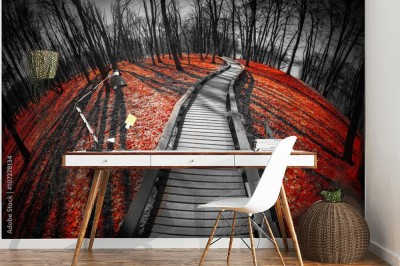 Fototapeta Opadłe liście drzew