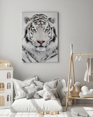 Obraz na płótnie Biały Tygrys