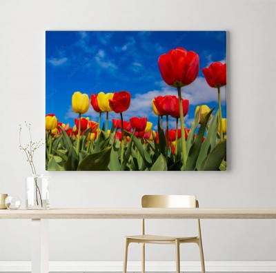 Obraz na płótnie Wiosna w tle kwiatów