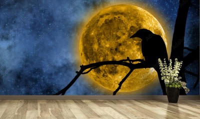 Fototapeta Księżyc w pełni za drzewem i kruk na nim 