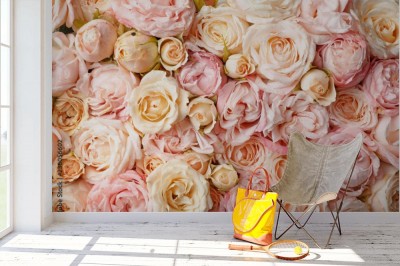 Fototapeta Różany dywan z kwiatów Piwonii