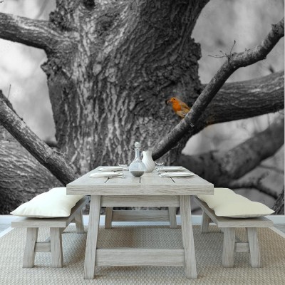 Fototapeta Selektywny kolor