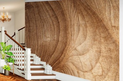 Fototapeta Tekstura drewna