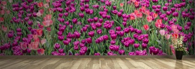 Fototapeta Wielokolorowe tulipany w panoramicznym kadrze