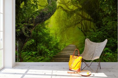 Fototapeta Azjatycka dżungla tropikalna