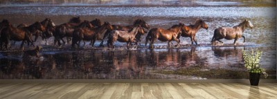 Fototapeta Konie przy wodopoju