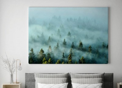 Obrazy do salonu Mgliste góry z jedlinowym lasem w mgle