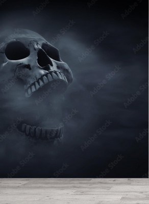 Fototapeta Ludzka czaszka na ciemnym tle